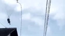 Wujud “TNI di Hati Rakyat”, Warga Blitar Tak Minta Ganti Rugi Atapnya Rusak Diterjang Penerjun Payung TNI