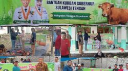 Bantuan Kurban Gubernur Sulteng Disalurkan ke Empat Desa di Banggai Kepulauan